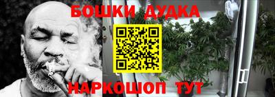 apvp Лесосибирск