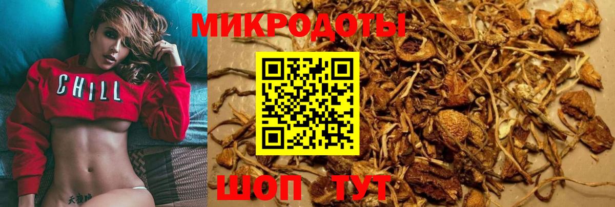 Псилоцибиновые грибы прущие грибы  Вход с VPN  Салехард 